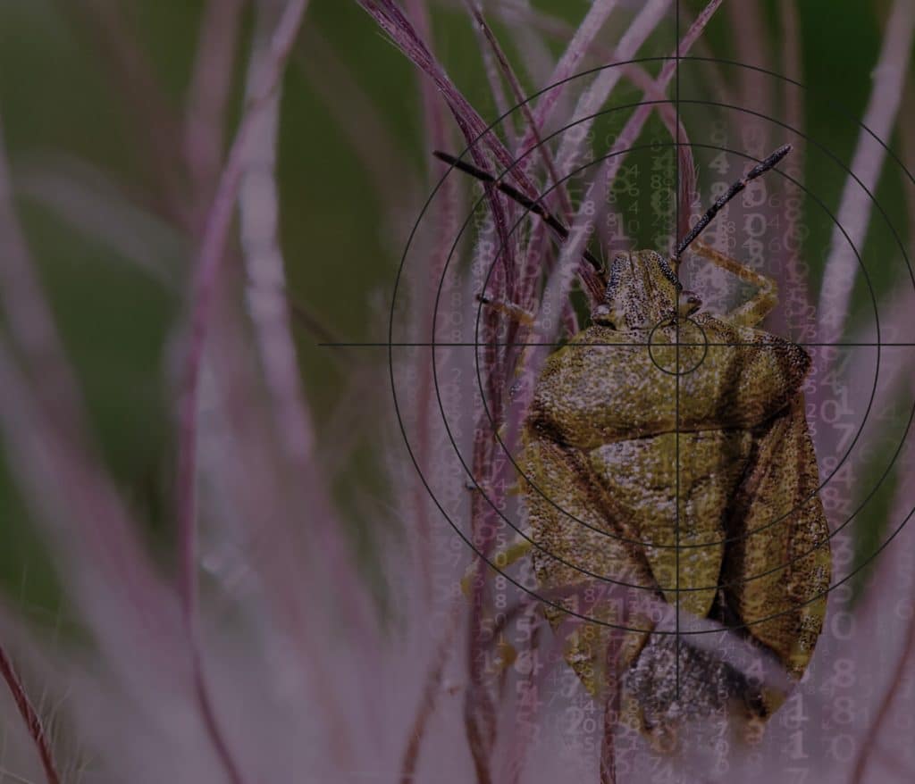 Pétition pour un moratoire sur les pesticides génétiques en Europe