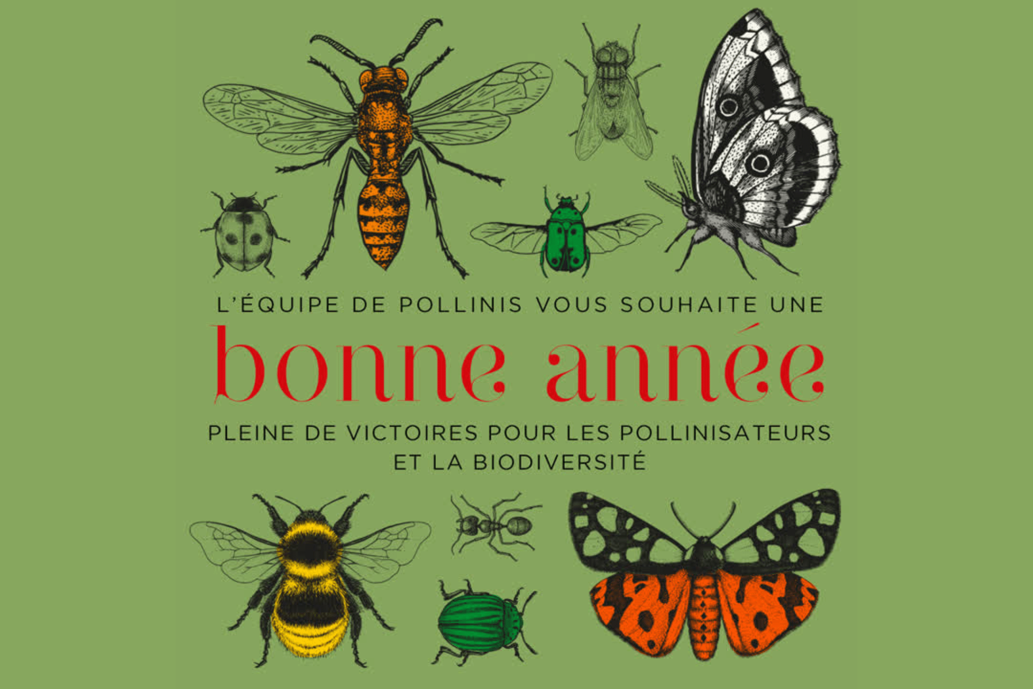 Meilleurs vœux 2026