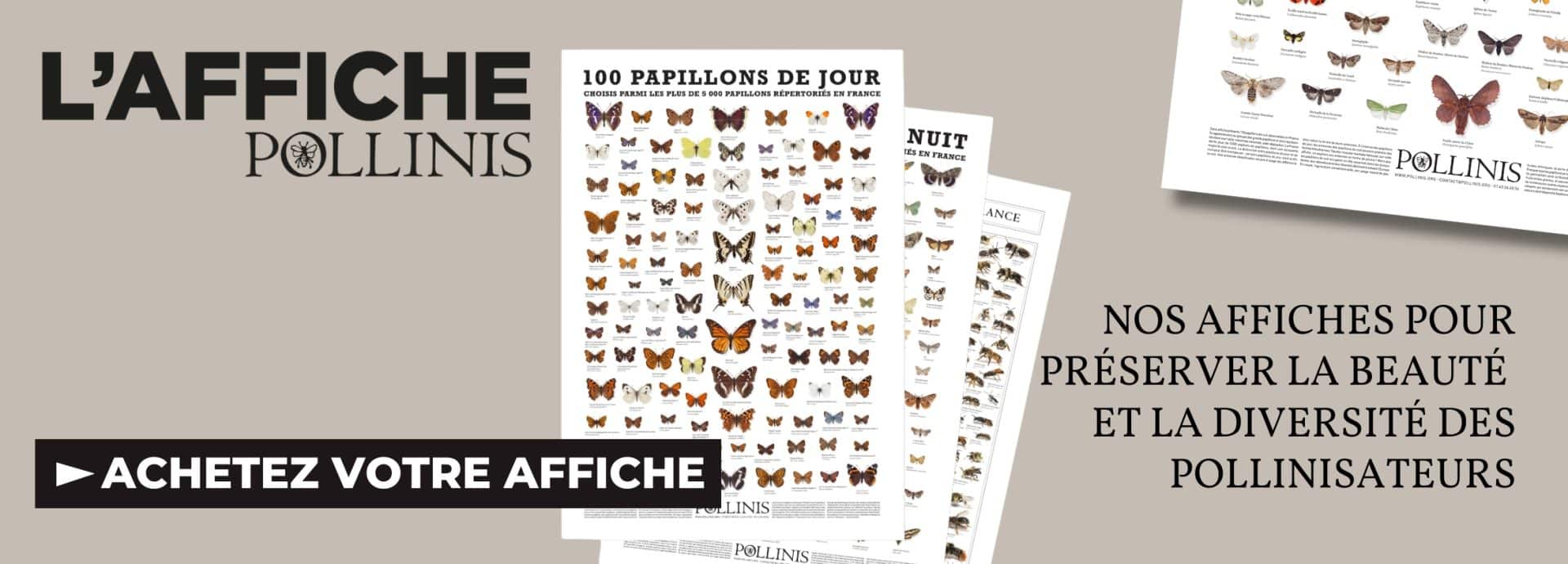 Les affiches papillons de POLLINIS (2)