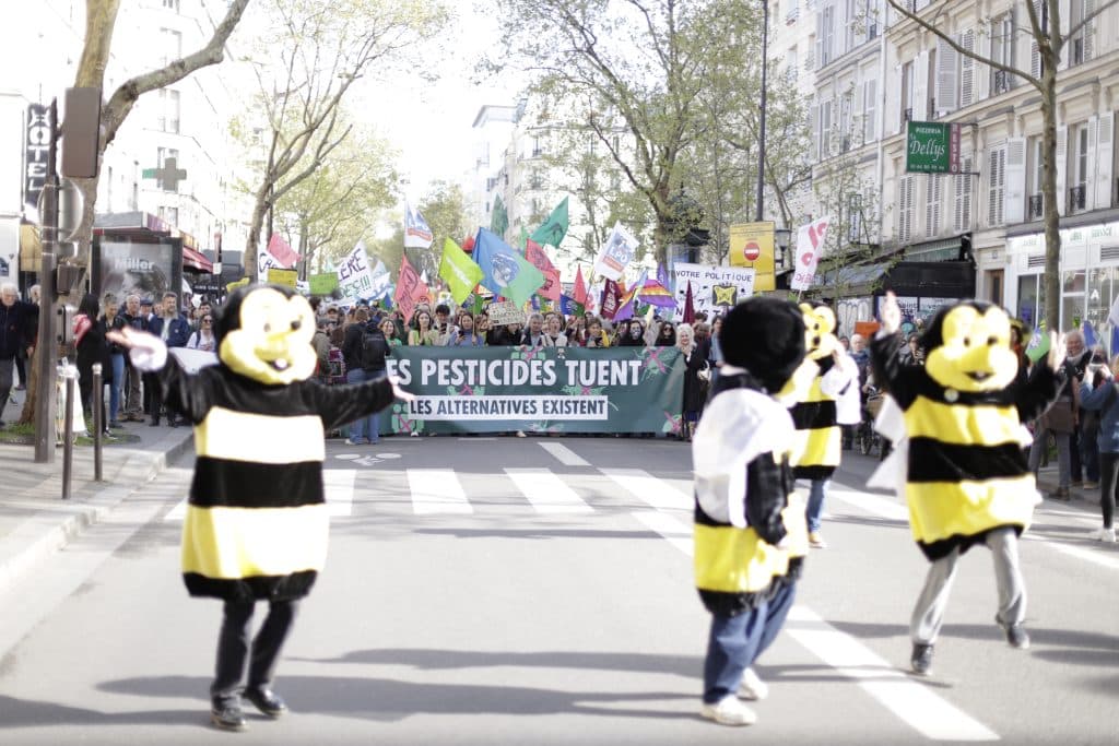 Marche Printemps Bruyant