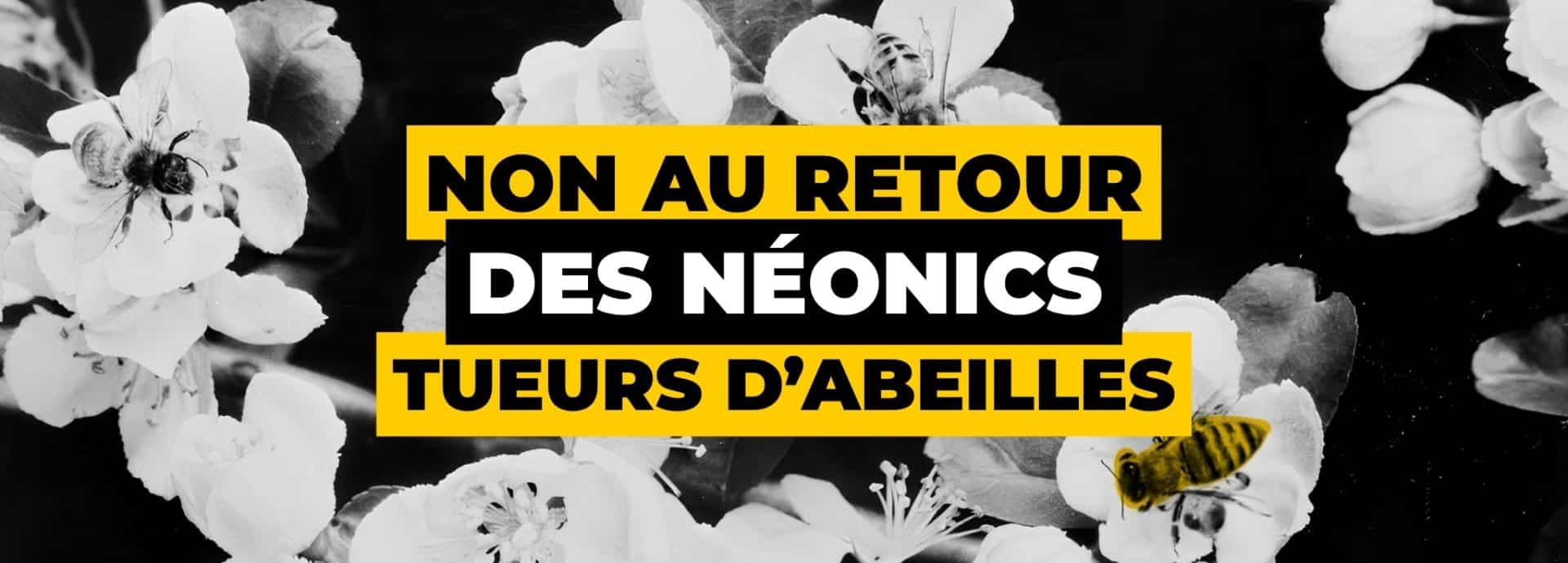 Bannière ordi version 2