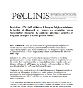 POLLINIS attaque en justice l’autorisation d’urgence du pesticide génétique Calantha
