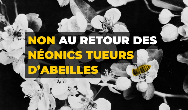 Page campagne néonics