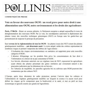 Capture d’écran 2026-07-01 163501