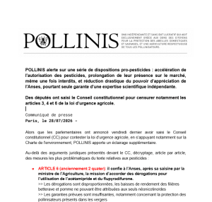 Visuel CP PLUA : Anses
