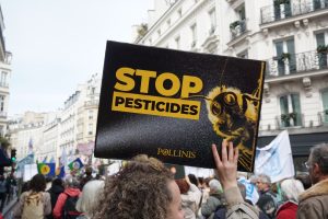La loi d'urgence agricole prévoit de réautoriser l'usage de néonicotinoïdes interdits en France.